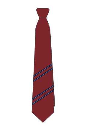 Richmond View Senior Tie Maroon/Navy 1SZ